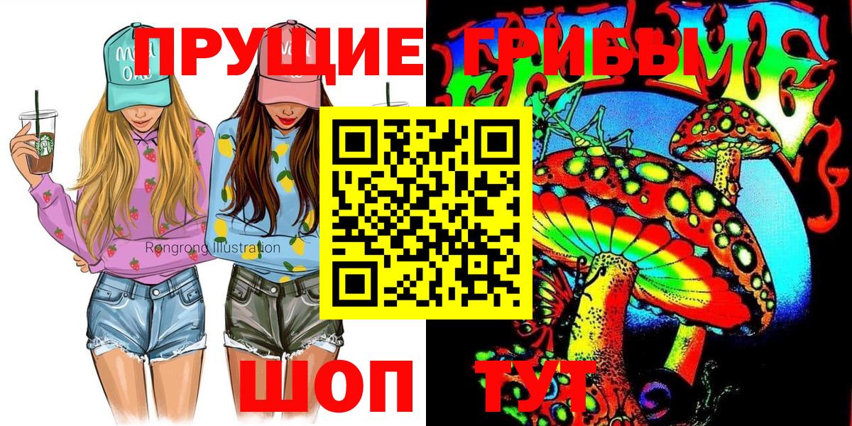 Псилоцибиновые грибы Psilocybe  Вход с VPN  Городец 